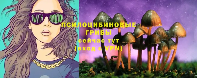 Галлюциногенные грибы MAGIC MUSHROOMS  где можно купить наркотик  Красноперекопск 